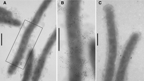 FIG. 5.