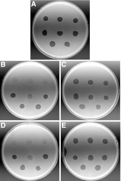 FIG. 4.