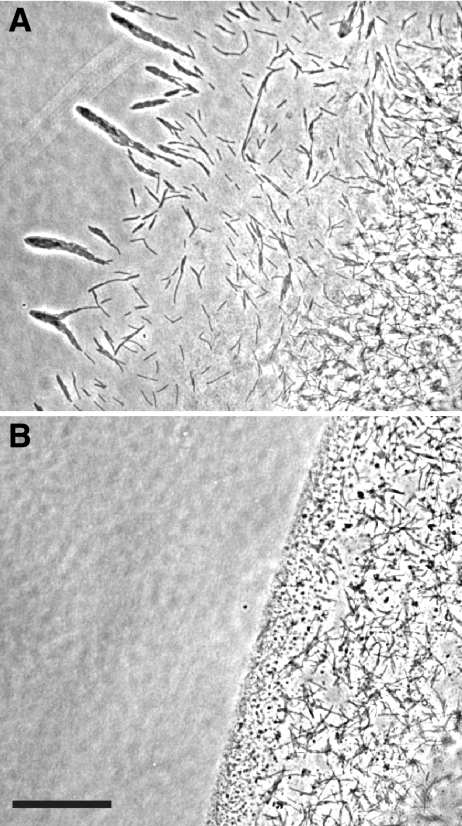 FIG. 8.