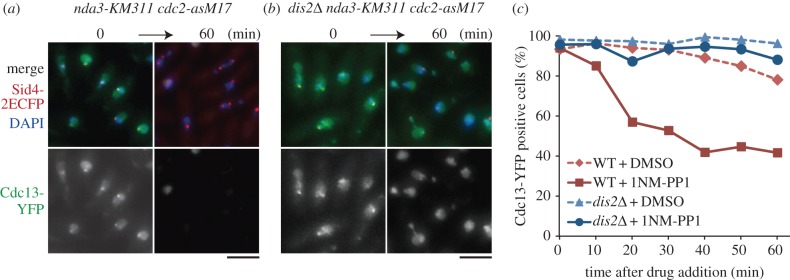 Figure 5.