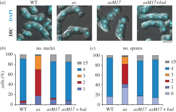 Figure 2.