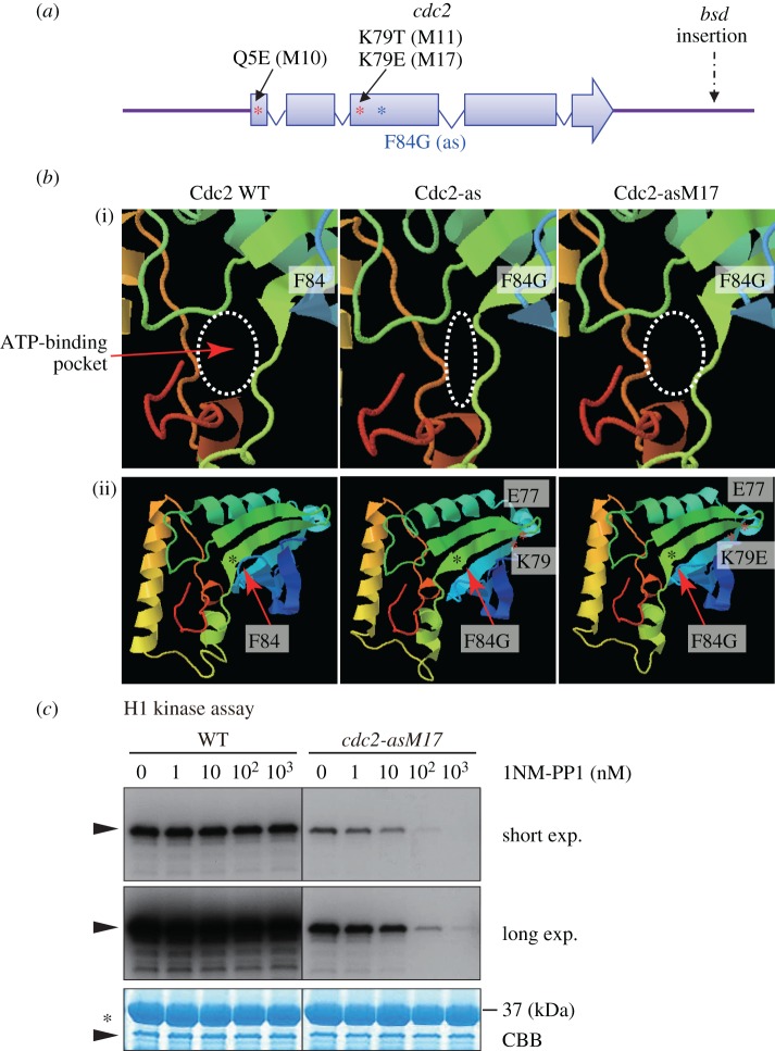 Figure 3.