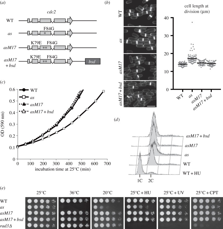 Figure 1.