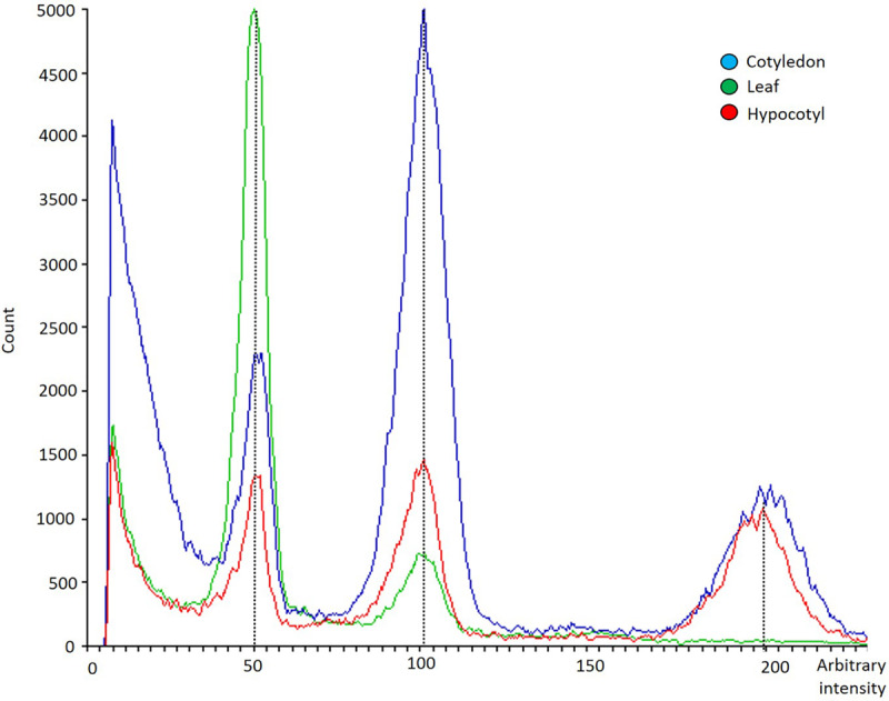 FIGURE 7