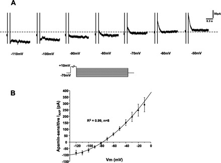 Fig. 10.