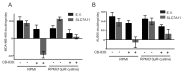 Figure 4—figure supplement 4.