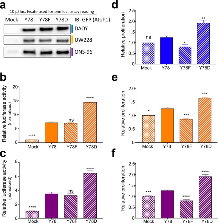 Figure 2—figure supplement 2.