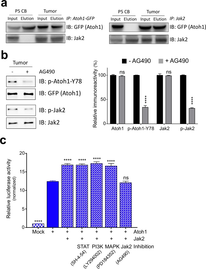 Figure 3.