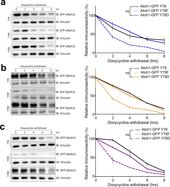 Figure 3—figure supplement 2.