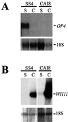 FIG. 6