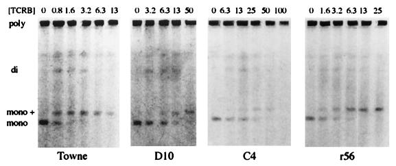 FIG. 4