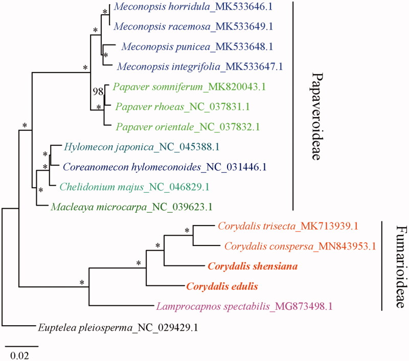 Figure 1.