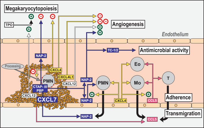 Fig. 1