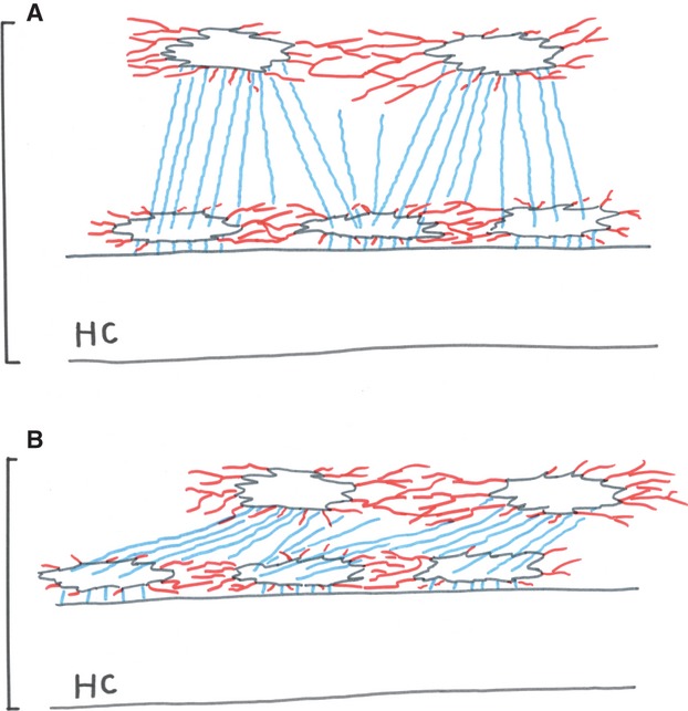 Fig. 9