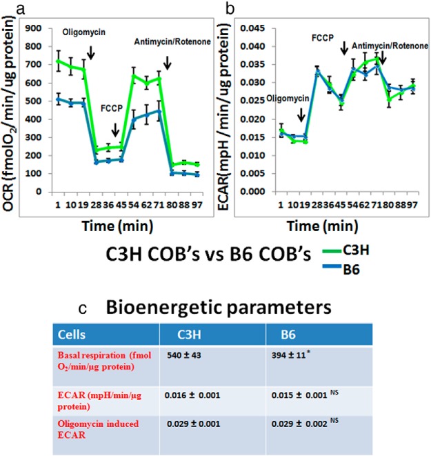 Bioenergetics During Calvarial Osteoblast Differentiation Reflect ...