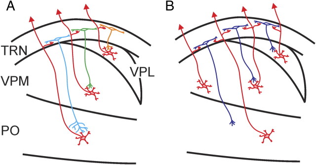 Figure 10.