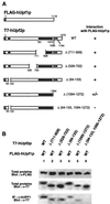 FIG. 6