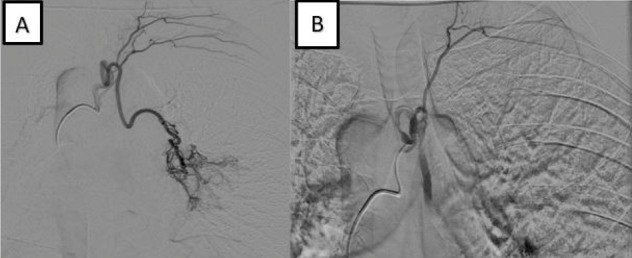 Figure 2.