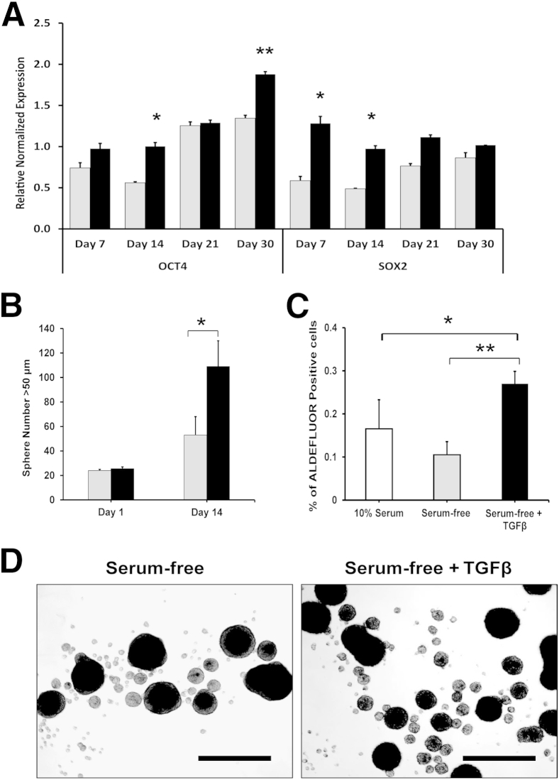 Figure 5