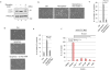 Extended Data Figure 3