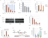 Extended Data Figure 1