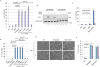 Extended Data Figure 8