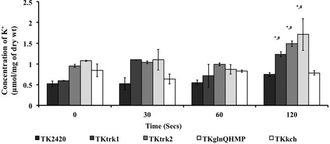 FIG 10