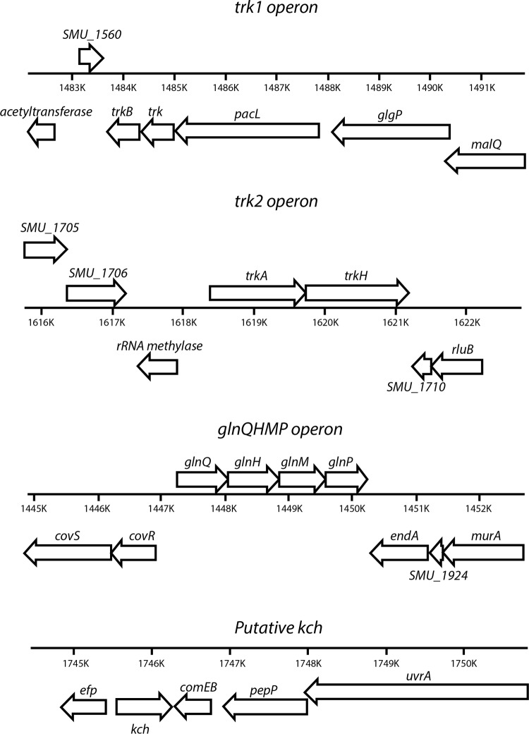 FIG 1