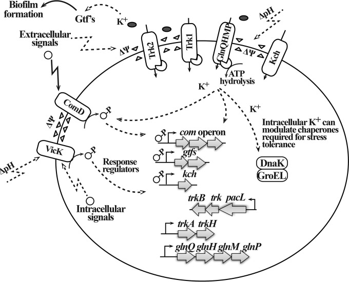 FIG 11