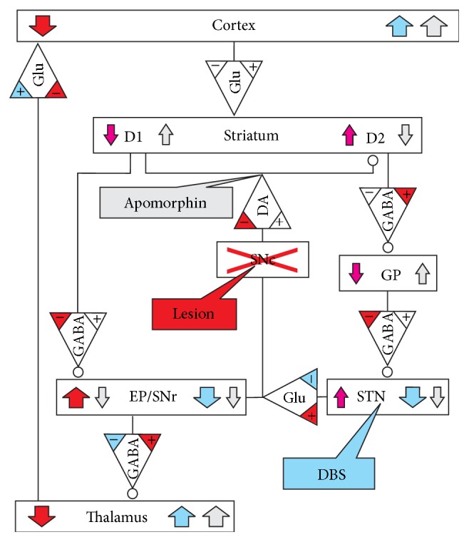 Figure 13