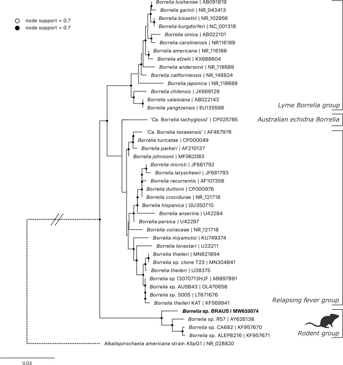 Fig. 9.