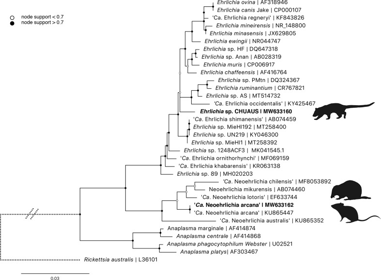 Fig. 8.