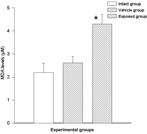 Figure 6.