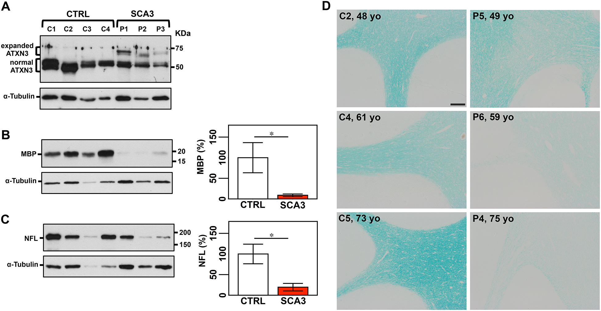 Figure 4: