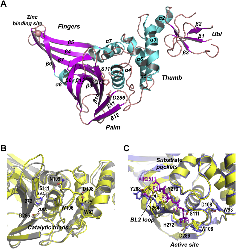 Figure 2