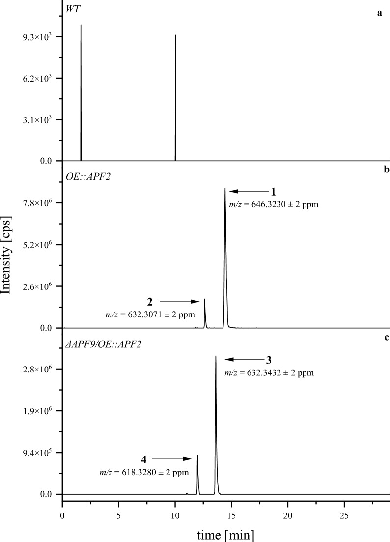 Fig. 3