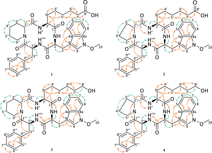 Fig. 7