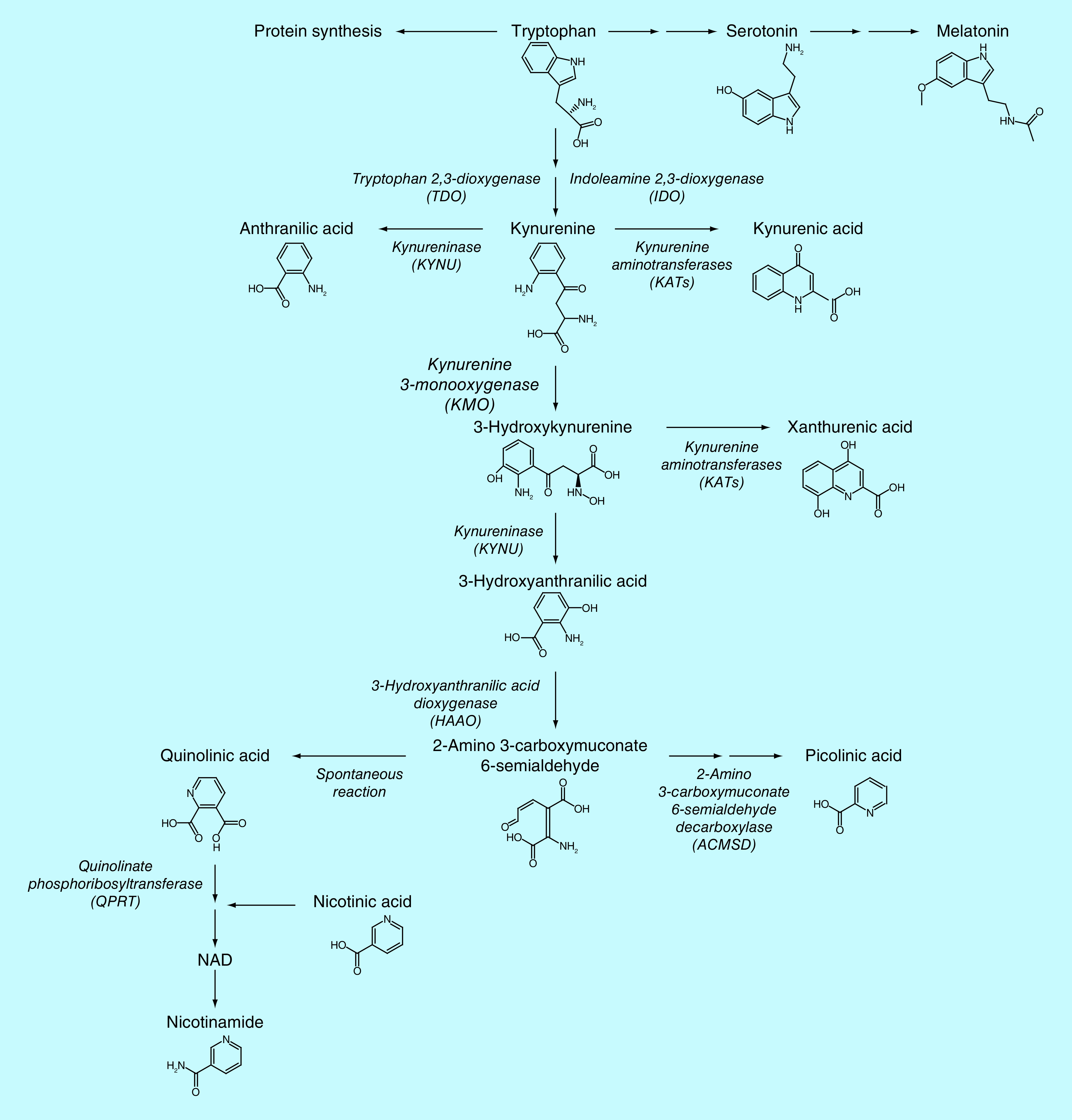 Figure 1. 