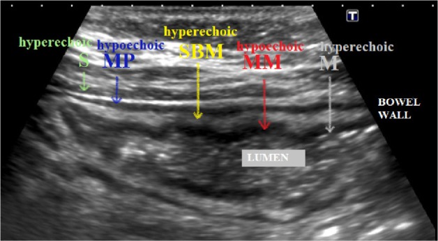 Figure 5