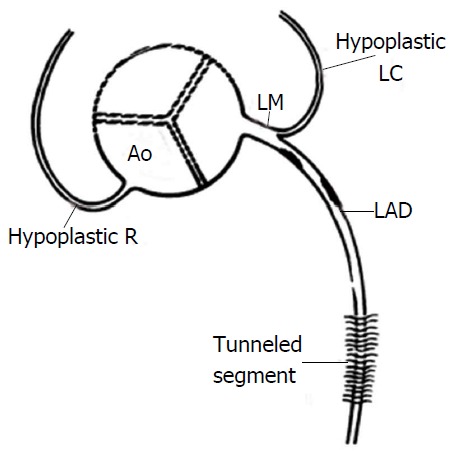 Figure 19