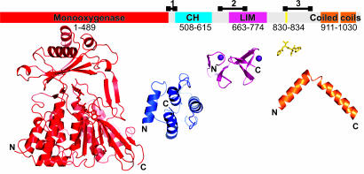 Fig. 6.