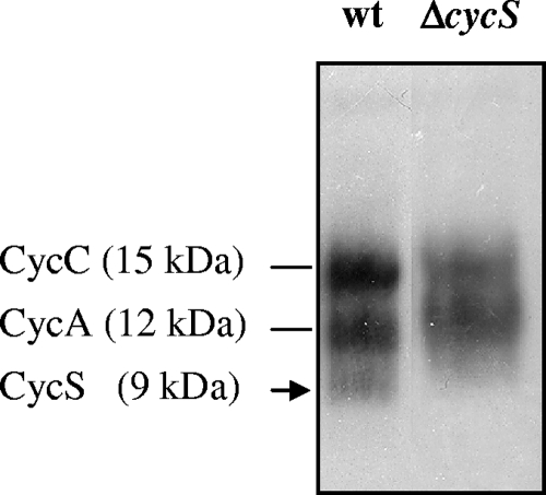 FIG. 7.