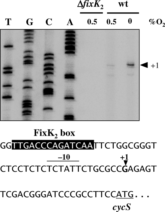 FIG. 6.