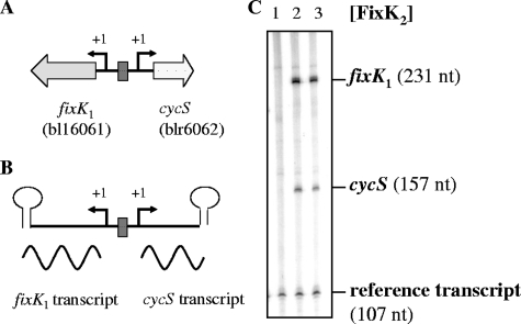 FIG. 5.