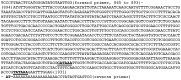 FIG 8