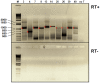 FIG 7