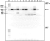 FIG 11