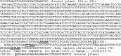 FIG 10