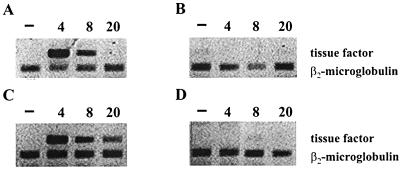 FIG. 5