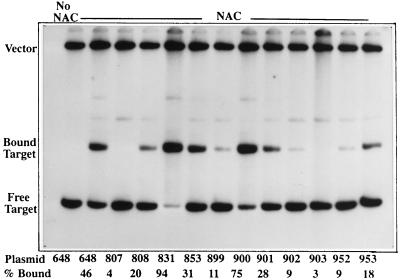 FIG. 7